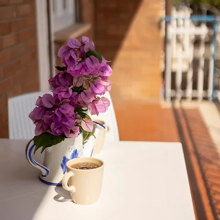 Hello Claudia Centro 4*